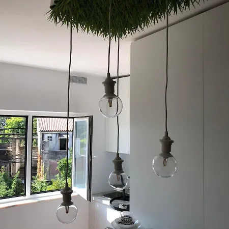 Historic Center • Collection By Perpetual Relax * Брага