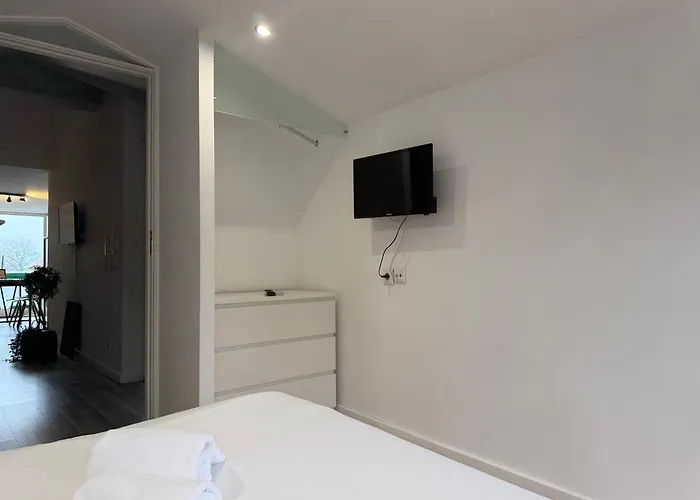 Historic Center • Collection By Perpetual Relax *