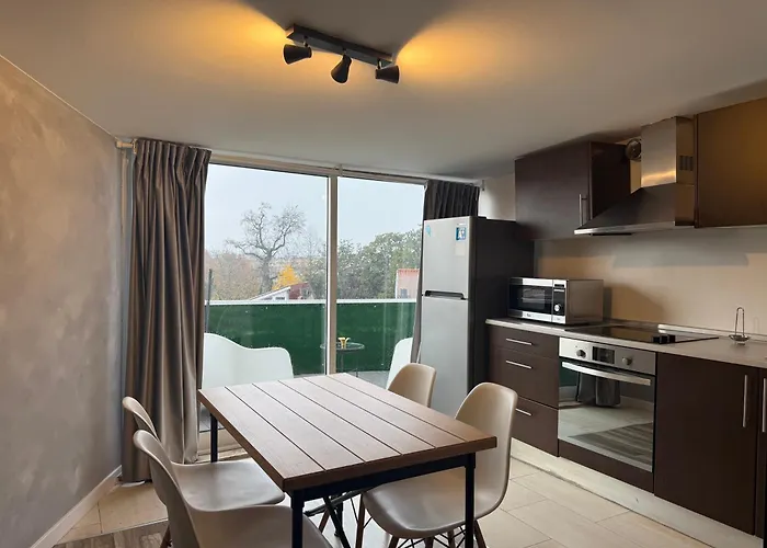 Historic Center • Collection By Perpetual Relax